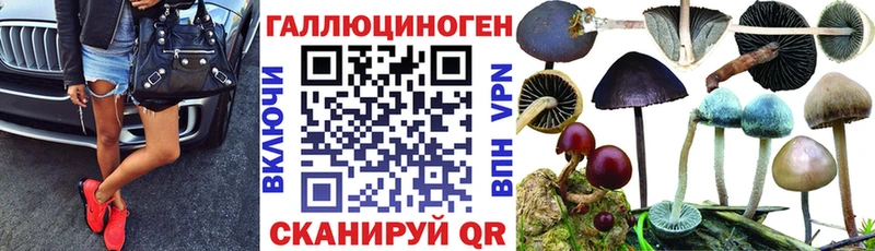 купить наркоту  сайты даркнета Telegram  Псилоцибиновые грибы прущие грибы  Нариманов 